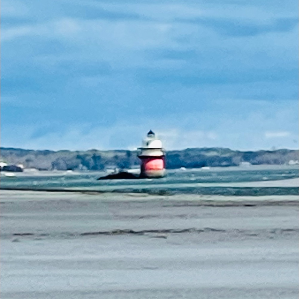 Meet your Posher, Bonnie